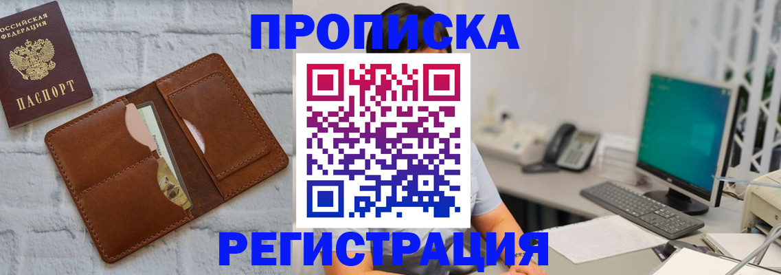 прописка поиск в Камышине